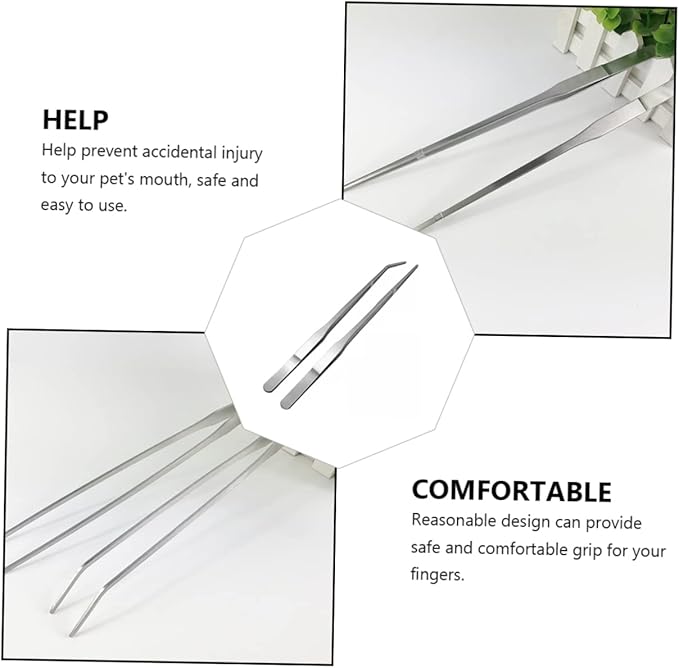 BESPORTBLE Stainless Pet Tweezer 2pcs Reptile Feeding Clip for Gecko Tank Accessories
