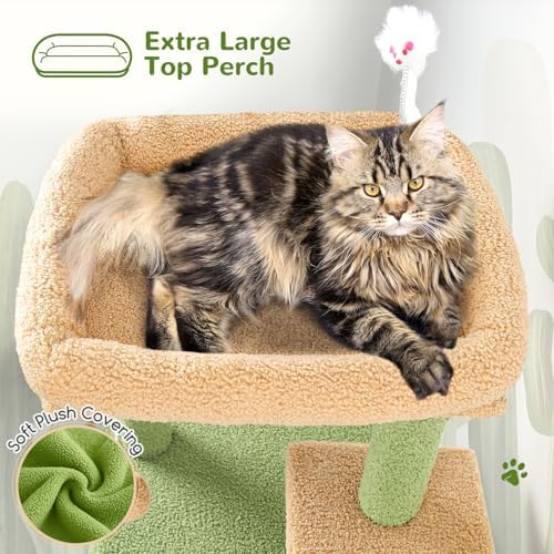 Globlazer Cactus Cat Tree Tower for Indoor Cats, 50-inch Adult Cat Tree House for Large Adult Cats with Steps, Scratching Post, 2 Cat Caves, Dangling Toys, FC50, Green - Image 3