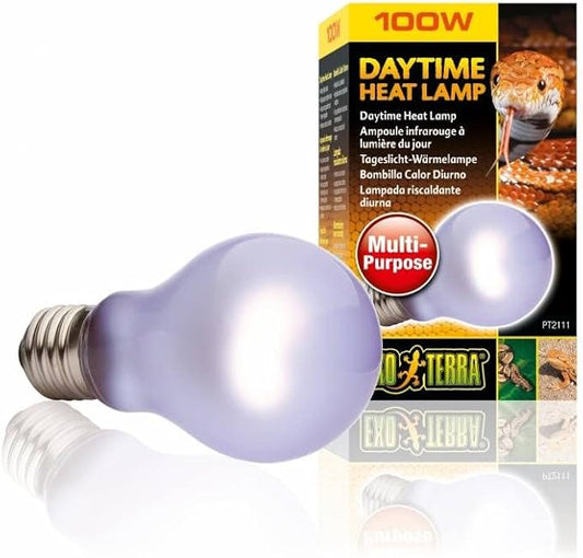 Exo Terra Sun-Glo Neodymium A19 Lamp [Set of 2] Watt: 100 W