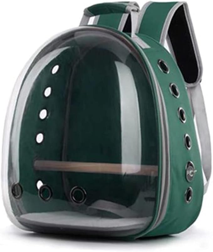 Portable Bird Travel Cage with Wooden Perch, Breathable Carrier for Small Birds, Indoor/Outdoor Use, Green Color