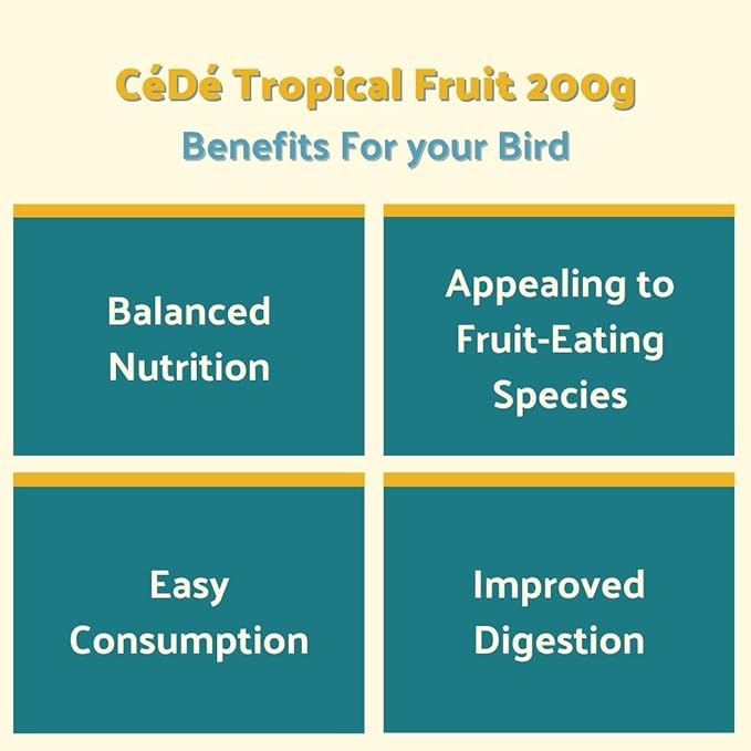 Cédé Eggfood Moist Allround Tropical Fruit 400g – 2 Pack of Daily Diet Bird Food for Cockatiel, Canaries, Finches, Lovebird and Exotic Birds, Protein-rich Bird Supplement, Added Vitamins & Minerals