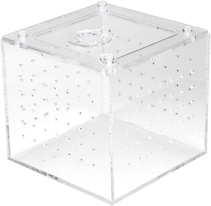 Reptile Breeding Tools, Reptile Hatching Supplies, Lizard Breeding Acrylic Box Case Insects House 1Pc Reptile Terrarium Feeder Snakes Spider