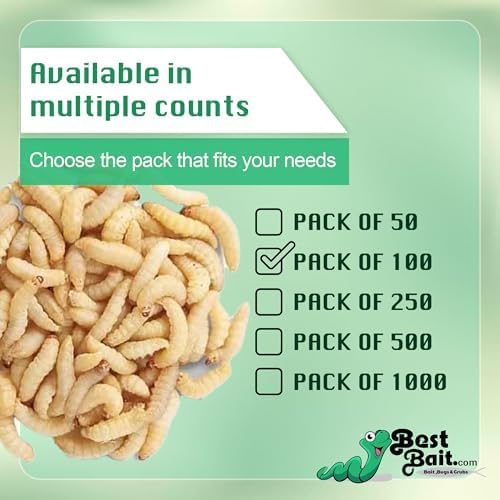 250 Count Live Waxworms