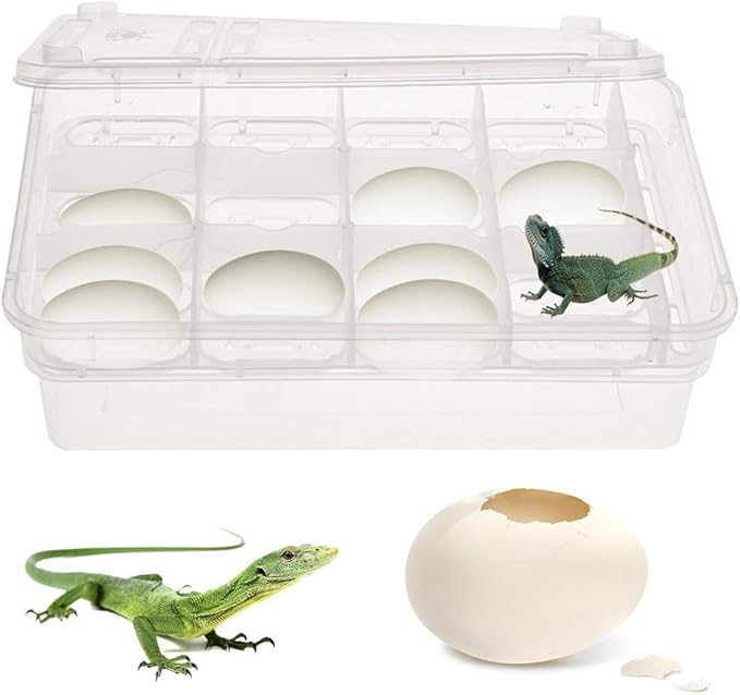 POPETPOP Compartment Transparent Breeding Box for Reptiles Snakes Turtles and Lizards Easy to Clean Incubator for and Animal Observation
