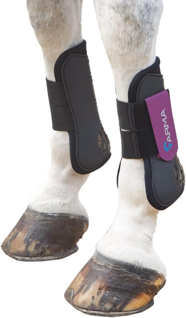 Shires ARMA Tendon Boot