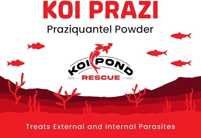 Generic KOI PRAZI (100 Grams) Praziquantel Powder for Pond & Aquarium, Effective Fish Treatment for Flukes & Bacterial Infections in Koi and Ornamental Fish, White