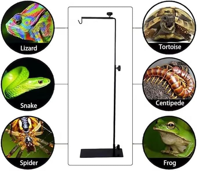 EatingBiting Amphibian Reptile Lampshade Lamp Holder Adjustable Extendable Metal Floor Lamp Holder Portable Animal Heating Lamp Holder for Lizards Turtles Tank Feeding Box 25-37inch
