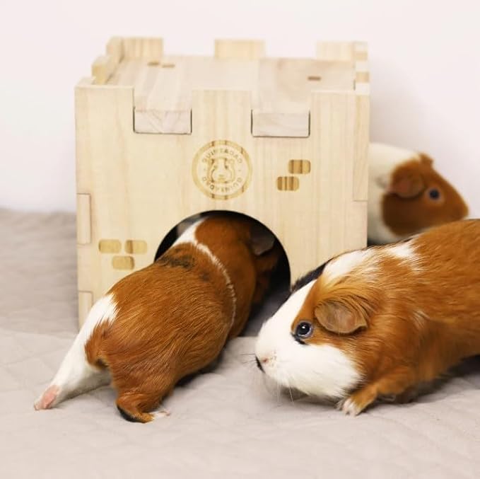 GuineaDad Guinea Pig Hideout & House – Wooden Hideaway Bed, Hut & Furniture for Small Pets | Cozy Guinea Pig Hidey with Natural Design & Accessorie