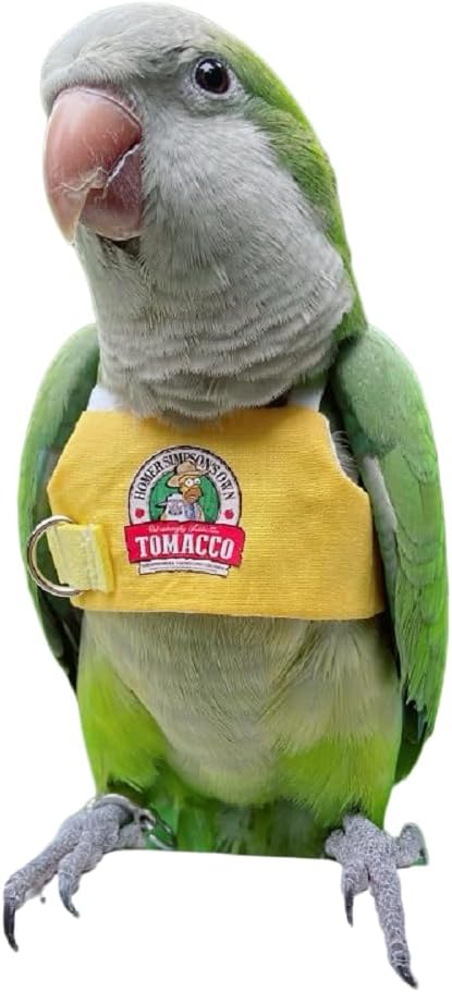 Bird Flight Harness Vest, Parrot Flight Suit with Leash for Parakeets, Bird Flying Clothes with Rope and Handle for Outdoor Activities Training, Anti Bite (4XL)