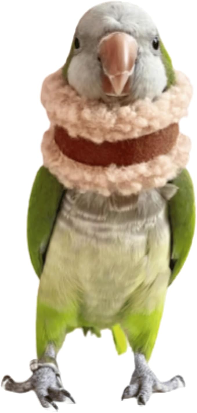 Pet Parrot Anti-Bite Elizabethan Collar, Neck Shield Anti-Grab Feather Plucking Wound Healing Safety Recovery Collar Cones for Budgerigar Lovebird Random Color (2XL)
