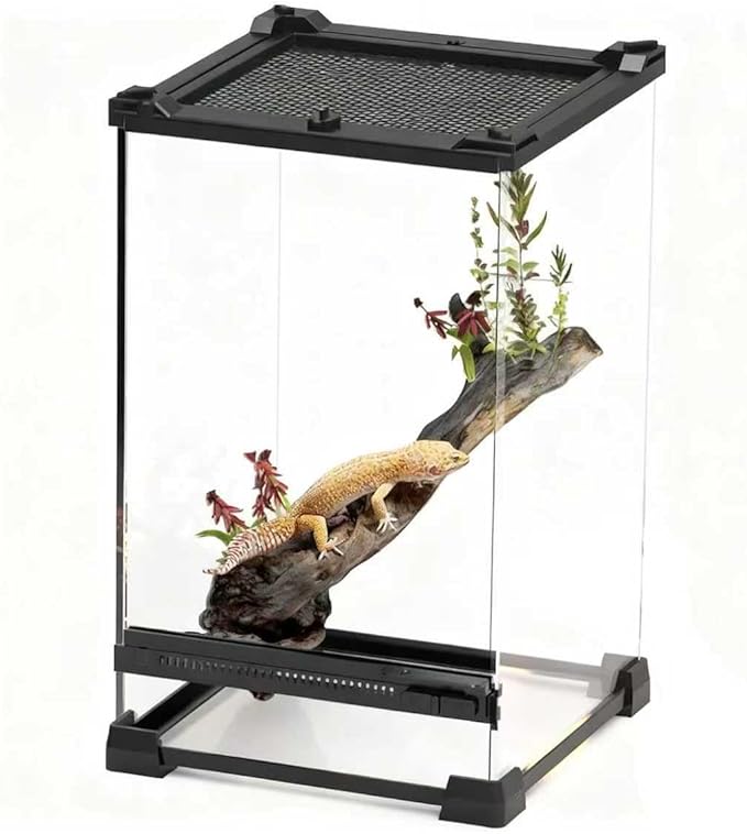 Reptile Tall Glass Terrarium Rainforest Habitat Single Door with Screen Ventilation,Small Reptile Terrarium for Spiders, Tarantulas, Snail, Mantis, Lizard (10 * 10 * 13.8 inch)