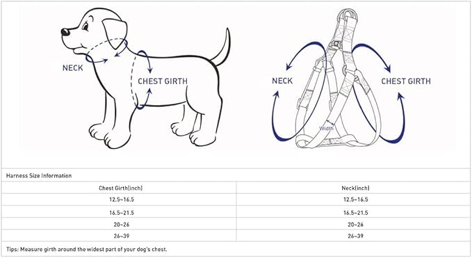 Blueberry Pet Essentials Matching Dog Collar Leash Harness Set in Orange Vermilion, Adjustable Classic Solid Color Nylon Collar with Harness & 5 ft Leash for Medium Dogs