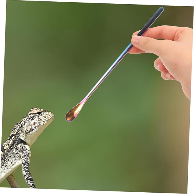 BESPORTBLE 3pcs Reptile Food Spoon Long Handle Small Pet Food Scoop for Tortoise Iguana