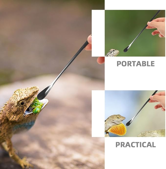 balacoo 3pcs Reptile Food Spoon Handle Feeding Tool for Lizards and Small for Easy Use and Portability for Tortoise and Gecko Care