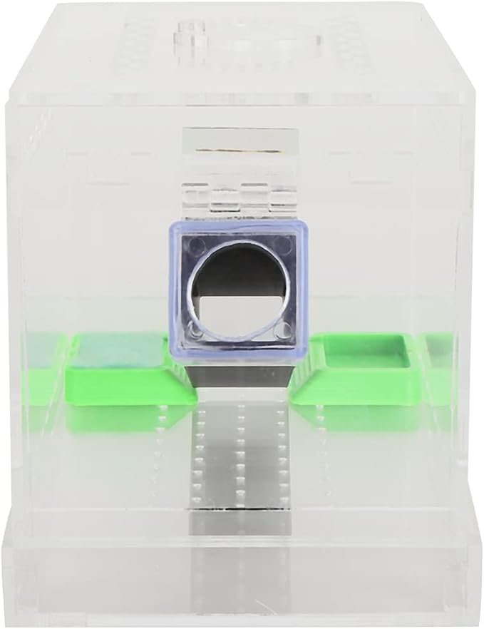 Acrylic Feeding Cricket Keeper Pen with Tubes Care Kit Tank Box for Reptile (Small 9x9x11cm/ 3.54x3.54x4.33in)