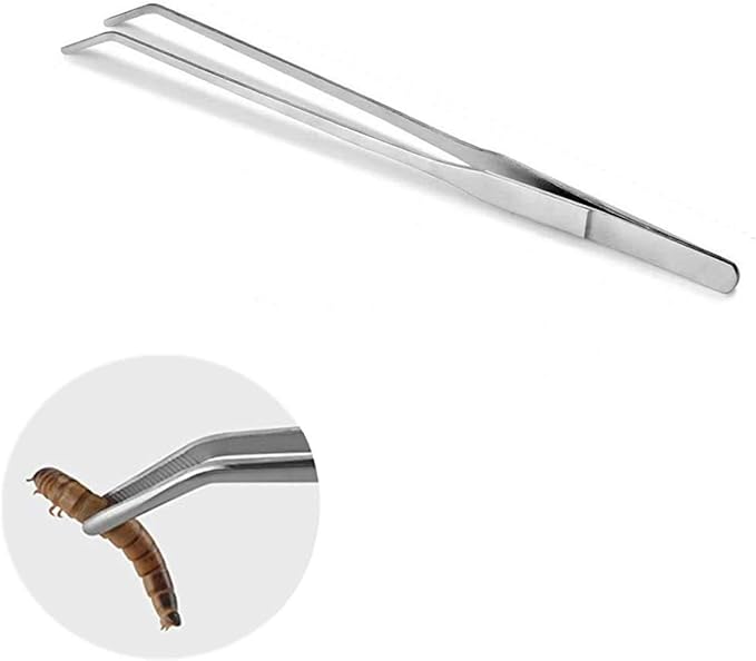 alfyng 15 Inch Reptile Feeding Tongs Long Tweezers Cricket Clamp Bug Scooper, 3 Pcs Stainless Steel Straight and Curved Tweezers Feeder Tool for Snake Lizard Gecko Spider Bearded Dragon