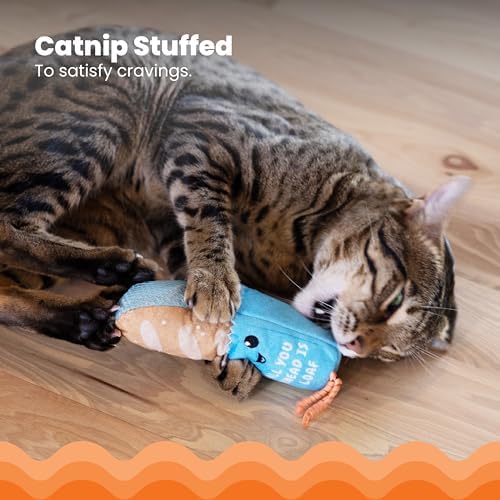 Catstages Loaf Kicker Interactive Cat Toy with Catnip & Dental Mesh, 6.5" - Image 3