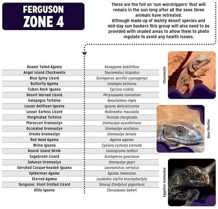 Reptile Systems T5 Ferguson Zone 4 Lamp – 36in, 39W – High Output Lighting for Reptiles, Crested Geckos, Chameleons, Leopard Geckos – Ideal for Vivariums and Tanks