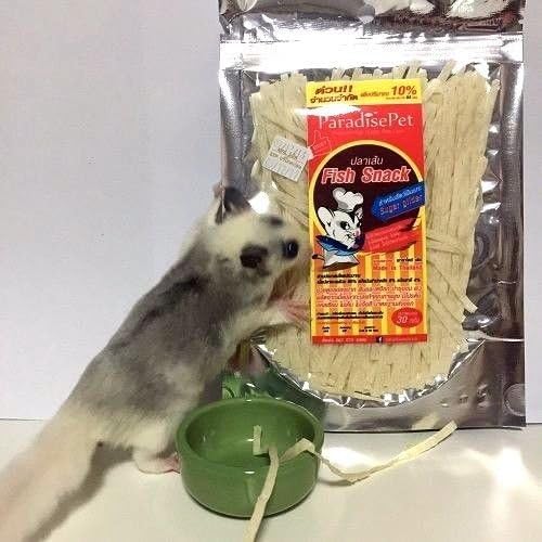 Polar Bear's Pet Shop 1 Pcs Family Pack Fish Flavor Sugar Glider Hamster Squirrel Chinchillas Small Animals Sandwich Snacks and Food (120g)