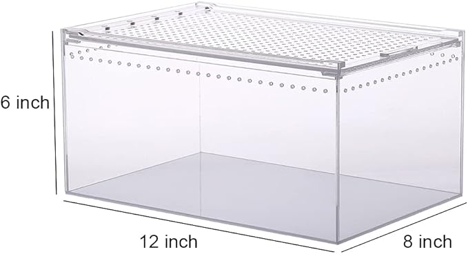 NANEEZOO Magnetic Large Enclosure 2.5 Gallon 12 x 8 x 6 Inch Reptile Breeding Box Terrarium Cage for Insect Tarantulas Amphibians Caterpillars Snail Clear Reptile Feeding Box