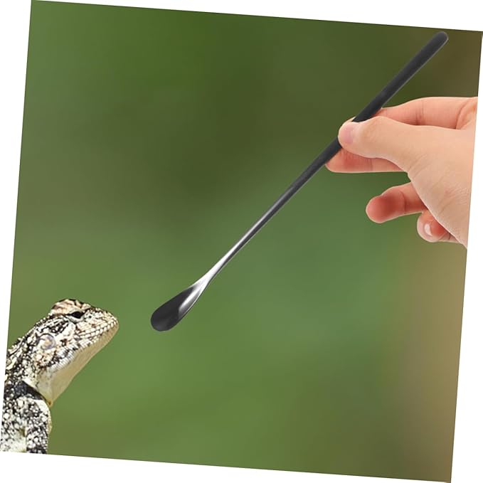 BESPORTBLE 3Pcs Reptile Feeding Spoon Set Long Handle PET Food Scoop for Lizard and Small Animals Reusable Feeding Tool for Wet Food for Reptile Supplies