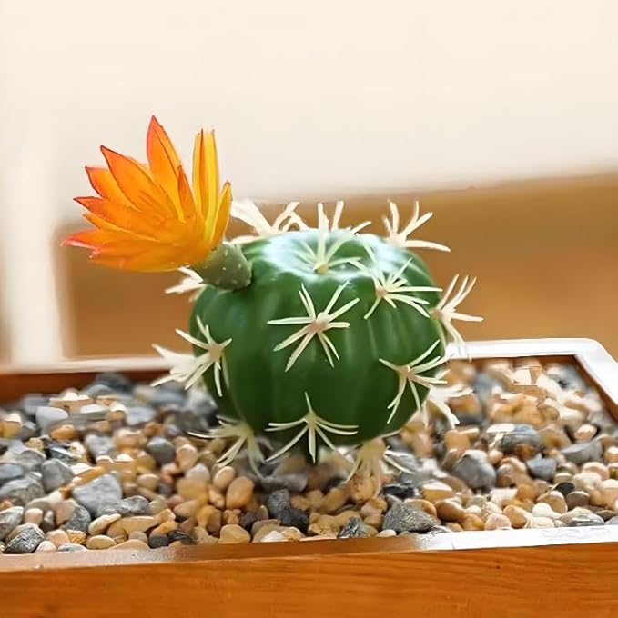 Fake Reptile Plants, Desert Reptile Plants Succulent kit, Reptile Terrarium Decorative, 4 Pcs, Faux Cactus Plants for Bearded Dragon Tank Decor, Cactus Terrarium Decor