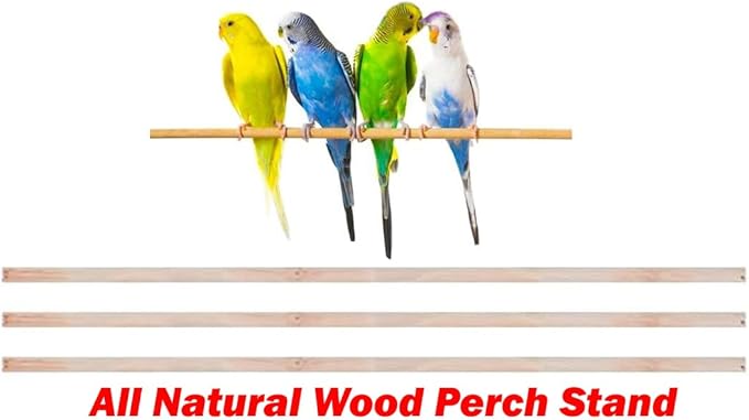 Large Open/Close Top Bird Cage Side Breeding Nest Box Doors Easy Clean Pull Out Tray Clear Feeder Cups for Canary Parakeet Cockatiel Lovebird Finches with Removable Rolling Stand