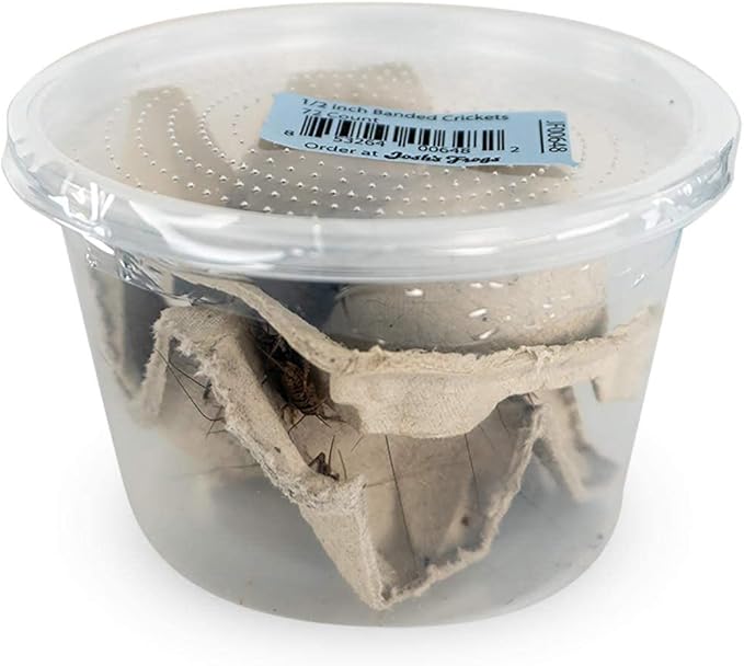 Josh's Frogs 1/2" GUTLOADED Banded Crickets (72 Count)