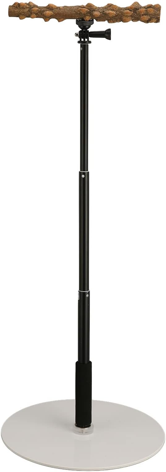 Dioche Bird Carrier with Perch - Detachable Play Stand for Indoor & Outdoor Use, Free Height Adjustment, Acrylic and Pepper Wood, Sturdy, 30cm - 94cm