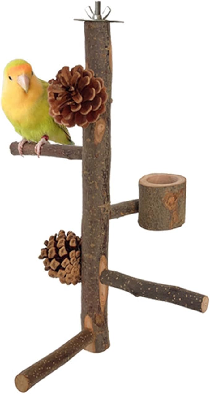 2PCS Parrot Perch Birdcage Accessories Stand Screw Wood Bird Toy Bird Activity Set