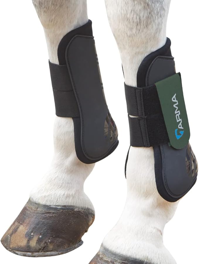 Shires ARMA Tendon Boot