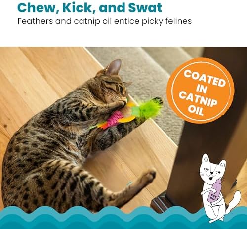 Catstages Dental Pineapple Teether ?€? Chew Toy for Cats and Kittens ?€? Textured Fabric and Mesh ?€? Coated in Catnip Oil ?€? Supports Teething Relief - Image 4