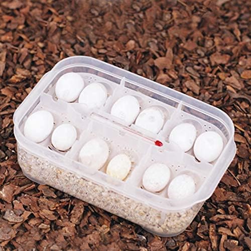 Reptile Breeding Box,16.5x11x5.2cm Reptile Hatchery Box Reptile Incubation Box with Transparent Cover and Temperature Measuring for Hatching Reptiles Lizards, Snakes