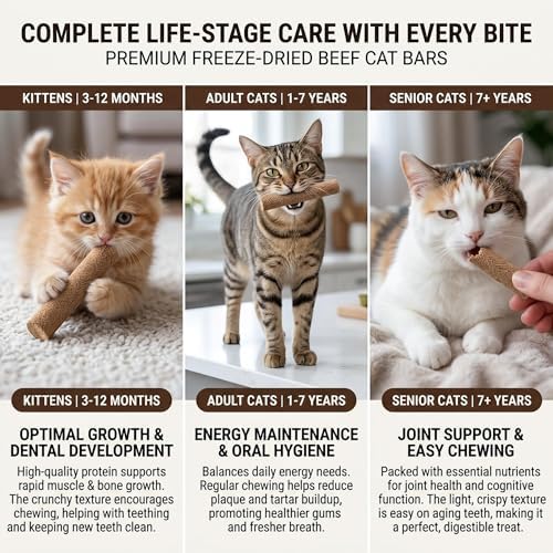 Freeze Dried Cat Chew Sticks Kitten Beef Treats No Grass 15pcs - Image 5