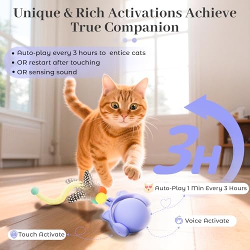 ORSDA Cat Toys for Indoor Cats, New Intelligent Voice Timing Touch Control Cats Ball, Simulate Mouse Sound Kitten Toy, Automatic Interactive Moving Cat Toy for All Ages - Image 2