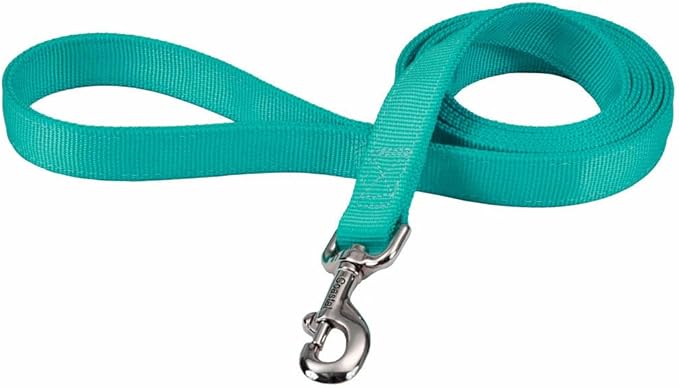 Coastal Pet Double-Ply Dog Leash - Bolt Snap Attachment to Collars and Harnesses - Nylon Dog Walking Leash for Small, Medium and Large Dogs - Teal - 1" x 6'