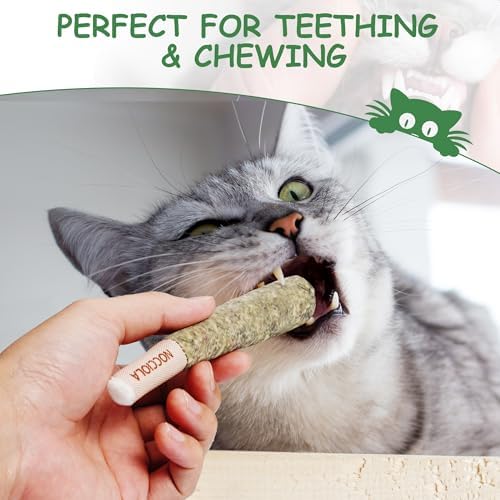 Nocciola 3 Pack Catnip Toys for Cats, Funny Cat Toys Filled with 100% Pure Organic Catnip, Safe Kitten Teething Chew and Kicker Toys - Image 4