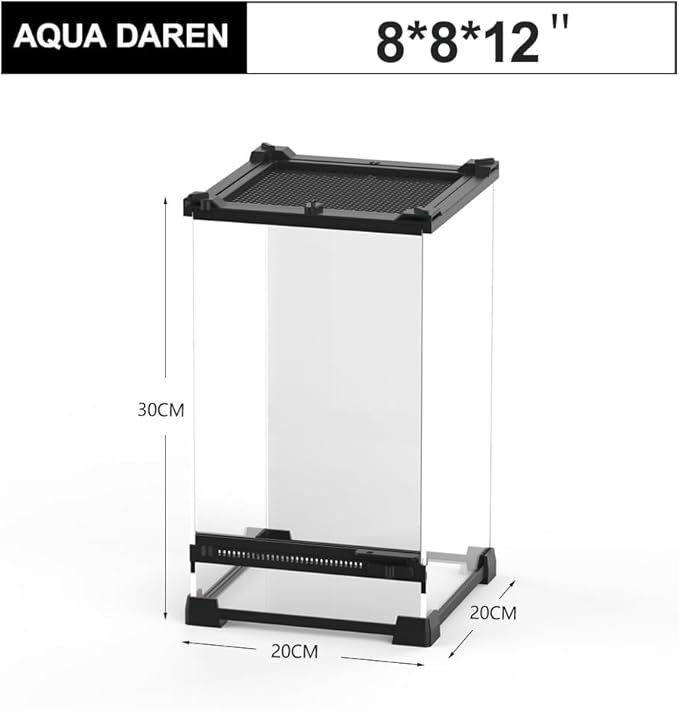 Reptile Tall Glass Terrarium Rainforest Habitat Single Door with Screen Ventilation,Small Reptile Terrarium for Spiders, Tarantulas, Snail, Mantis, Lizard (8 * 8 * 12 inch)