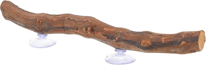 NUOBESTY Bearded Dragon Wooden Tree Branch Rack Lizard Climbing Toy Natural Reptile Decor for Terrarium Encourages Exercise Coordination for Reptiles Pets