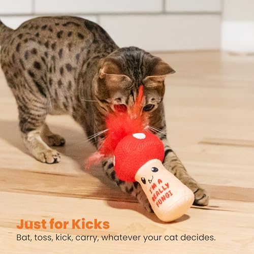Catstages A Really Fungi Cat Kicker Toy with Catnip and Dental Mesh, Mushroom Shape, Plush and Feather Cat Toy for Kicking, Tossing, and Teeth Cleaning, Red - Image 6