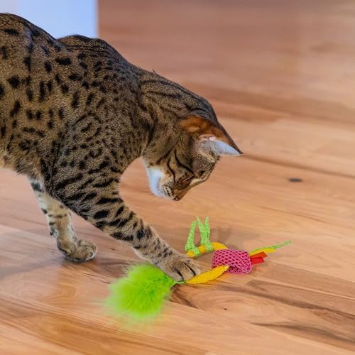 Catstages Dental Pineapple Teether ?€? Chew Toy for Cats and Kittens ?€? Textured Fabric and Mesh ?€? Coated in Catnip Oil ?€? Supports Teething Relief - Image 6