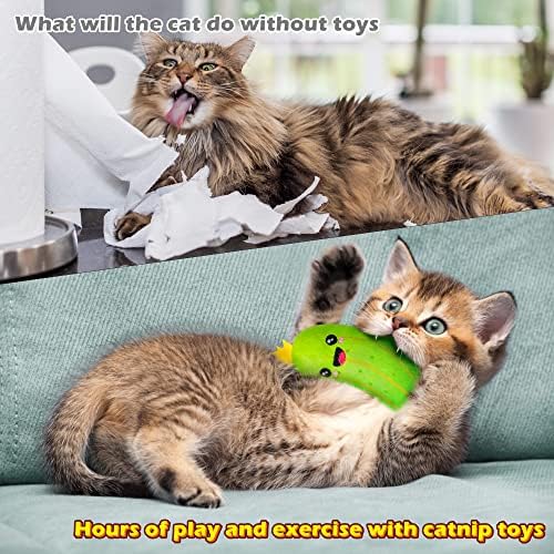 MALLMALL6 Pickle Catnip Cat Toys - 5Pcs Indoor Kitten Chew Bite Kick Cucumber Catmint Interactive Toys for Cat Lover Gifts, Kitty Boredom Relief Supplies with Cute Expression for Pet Birthday Presents - Image 5