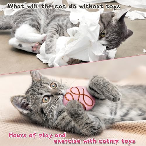 MALLMALL6 Catnip Toys for Cat - 5Pcs Valentines Chocolate Truffles Catmint Interactive Teething Chew Kick Cat Toy for Indoor Kitten, Soft Candy Pet Supplies, Pet Valentines Gifts for Kitten Lover - Image 5