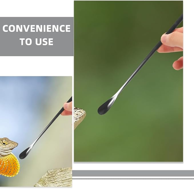 balacoo 3pcs Reptile Food Spoon Handle Feeding Tool for Lizards and Small for Easy Use and Portability for Tortoise and Gecko Care