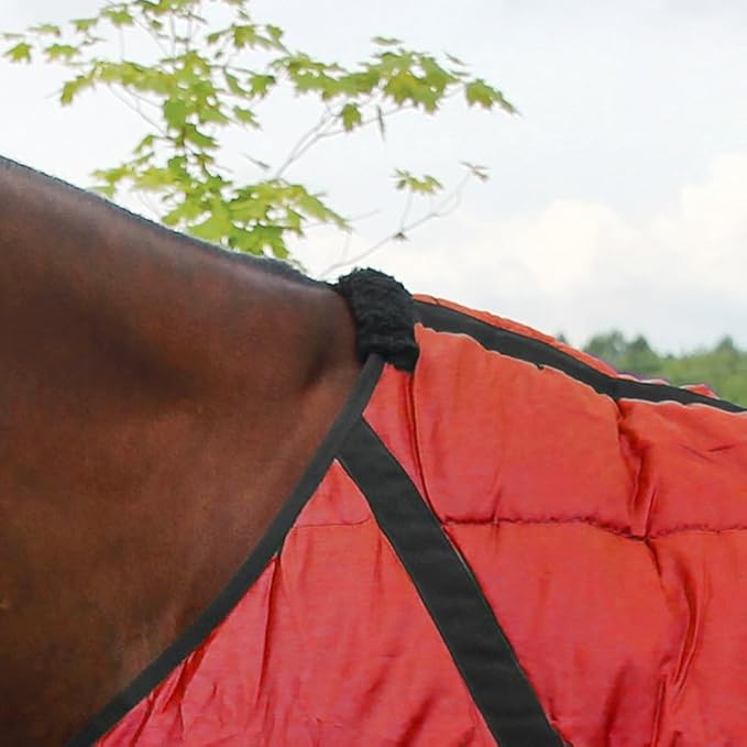 Country Pride Sentinel Channel Quilt Horse Stable Blanket, Midweight Open Front, 420D Nylon Outer Shell, 250g Poly-Fill Insulation, Wither Protection, Adjustable Leg Straps, Bias Surcingle (70,Red)