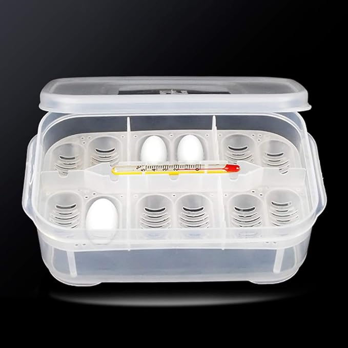 OMEM Reptile Breeding Box, Reptile Egg Incubators, Hatchery Box, for Hatching Gecko, Lizards, Lions Mane, Reptiles (Thermometer, Transparent Box)