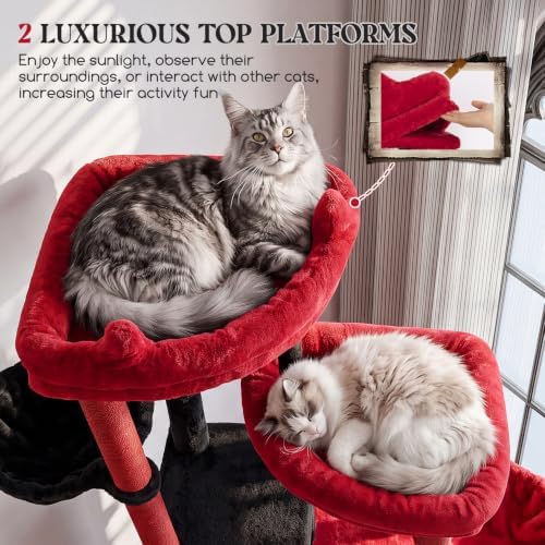 Globlazer Cat Tree Tower for Indoor Cats, Sturdy Adult Cat Tree House for Large Adult Cats with 2 Platform, 6 Cat Scratching Post, 2 Cat Caves, Dangling Toys, S63, 63 inch, Red Black - Image 2