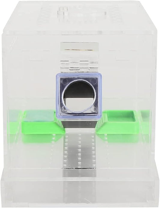 Transparent Acrylic Reptile Feeding Cricket, Cricket Care Kit Cricket Keeper with Tubes Cricket Keeper Tank Box(S)