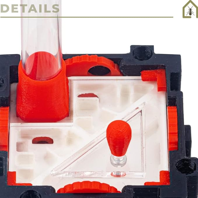 Anthouse.ES - Modular 3D Ant Farms - QBIK Foundation Model - Expandable Terrarium for Ant Colonies - Small Galleries and Foraging Room - 6.78x12.78x5 cm