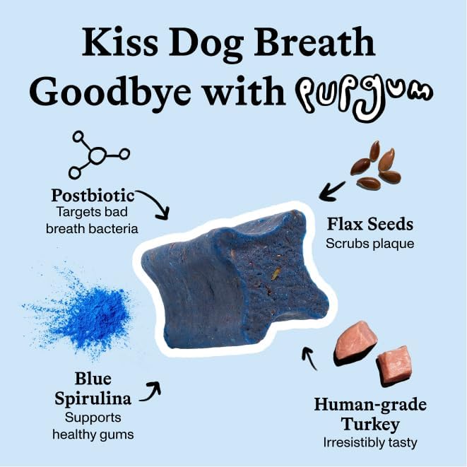 Spot & Tango PupGum Dog Dental Chews for Fresh Breath & Clean Teeth – Clinically Proven Ingredients – Human-Grade, Vet-Developed Daily Dental Treats for Dogs 41+lbs – 7 Chews – Made in USA